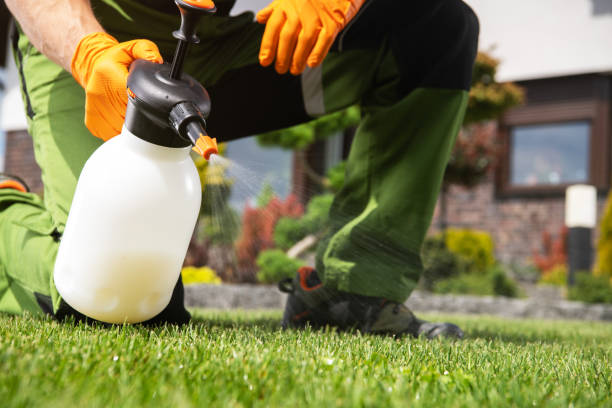 Best Cockroach Control Services  in Shelbyvle, IL