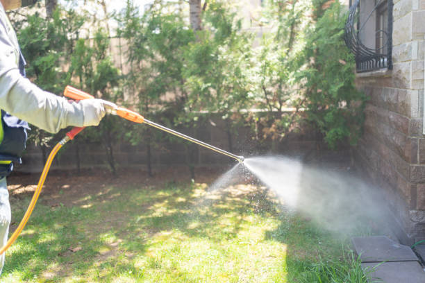 Best Termite Control Services  in Shelbyvle, IL