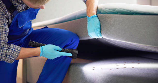 Best Flea Control Services  in Shelbyvle, IL