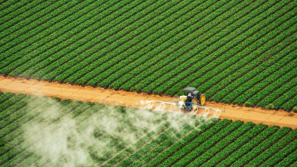 Best Pest Prevention Services  in Shelbyvle, IL
