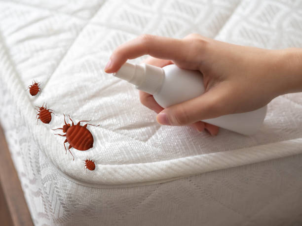 Shelbyville, IL Pest Control Company