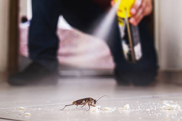 Best Cockroach Control Services  in Shelbyvle, IL