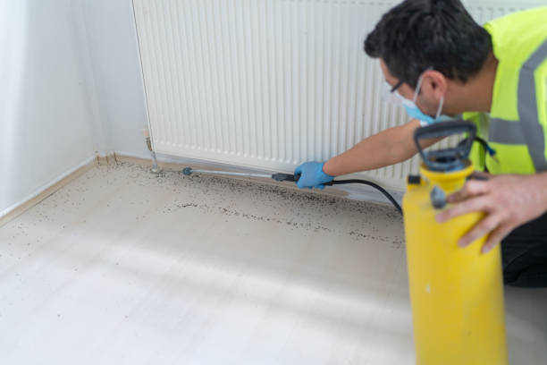 Best Affordable Pest Control Services  in Shelbyvle, IL