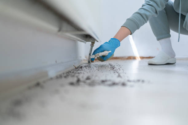 Best Mosquito Control Services  in Shelbyvle, IL
