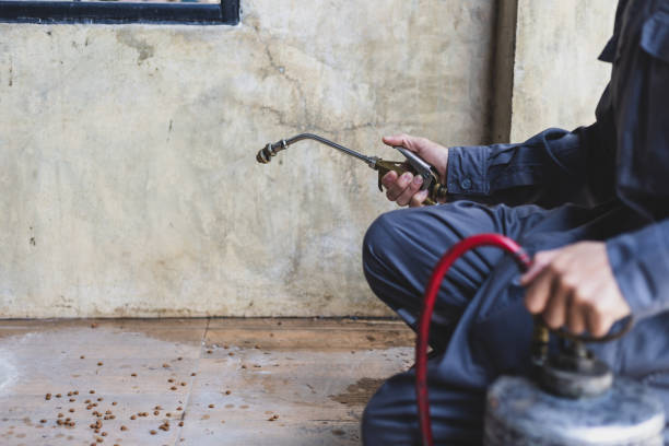 Best Local Pest Control Services  in Shelbyvle, IL
